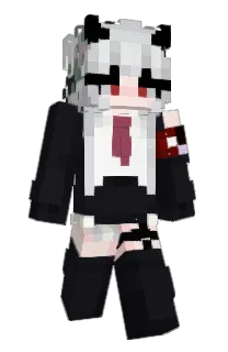 Front of Vipz_'s skin