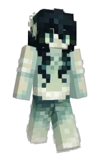 Front of Link1977's skin