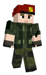 Custom render preview