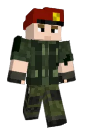 Skin preview