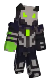 Skin preview