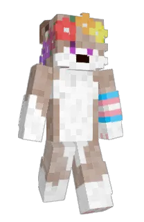 Front of EchoGaming64's skin