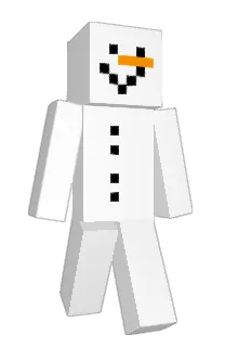 Front of r8c's skin