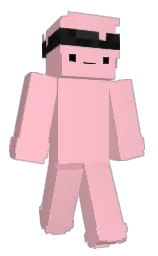 Slim Minecraft skin