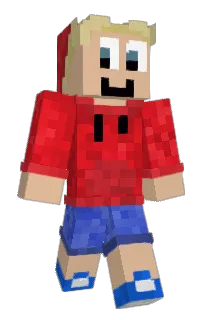 Front of PIMJOCHEM's skin