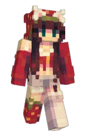 Skin preview