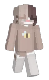 Back of Minecraft skin
