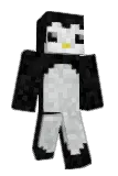 28jz Minecraft avatar full body