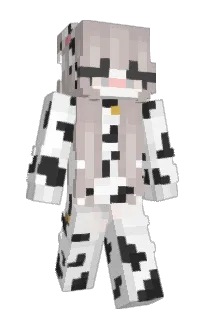 Nauczyciel36's Minecraft skin