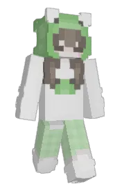 Skin preview