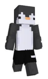 ship gray and tuna Minecraft skin — Slim model — first worn by whoispingu