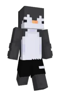 Front of whoispingu's skin