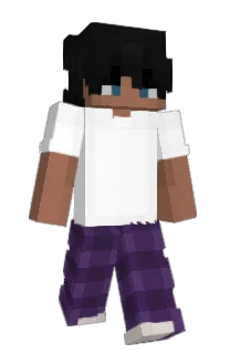 Front of seshon's skin
