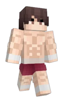 Front of Minecraft skin