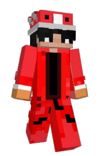 Front of Radgix's skin
