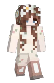 evacmx's Minecraft skin