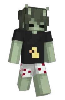 Front of Pcdup's skin