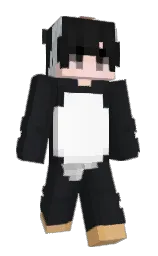 Minecraft skin — Slim model