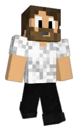 Minecraft skin — Classic model
