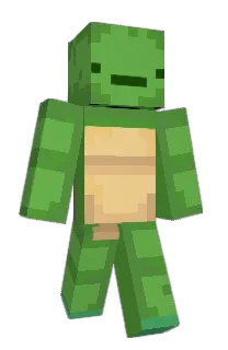 Front of 5eifer's skin