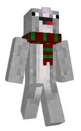 narwhls's Minecraft skin wearing the Migrator cape