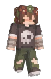 Skin preview