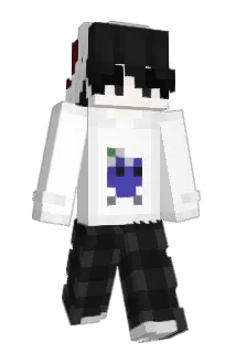 29_C1 Minecraft avatar full body