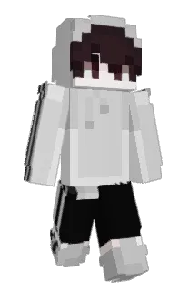 Front of lNxco's skin