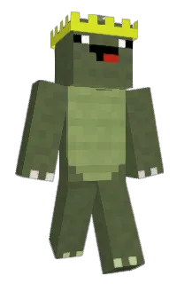 Front of wevc's skin