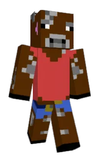 Front of Minecraft skin