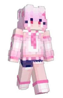 Front of 154Er's skin