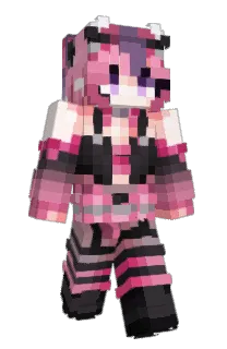Front of suawa's skin