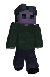 Front of prinncce's skin
