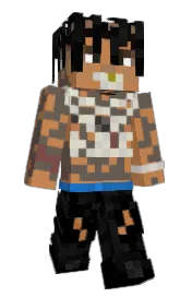 Skin preview