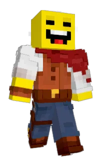 Front of Verlico's skin