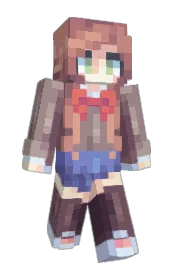 Skin preview