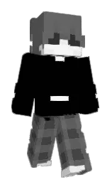 Minecraft skin — Classic model