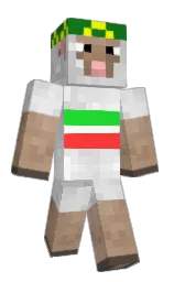 he50yam's Minecraft skin wearing the Migrator cape