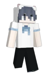 Front of 2016lyfe's skin