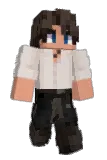 2D_s Minecraft avatar full body