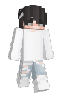 2GINCAN2 Minecraft avatar full body