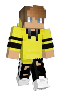 2Killerbees Minecraft avatar full body