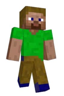 2Nett Minecraft avatar full body