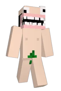 2O25 Minecraft avatar full body