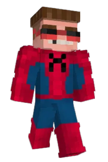 2O4O Minecraft avatar full body