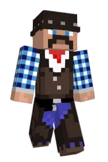 2P_fr Minecraft avatar full body