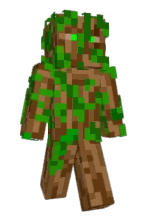 2SE Minecraft avatar full body