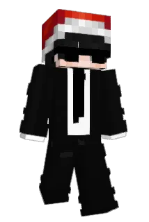 2Sonic Minecraft avatar full body