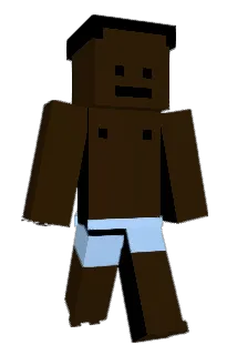 2Toons Minecraft avatar full body