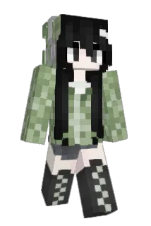2_roo Minecraft avatar full body